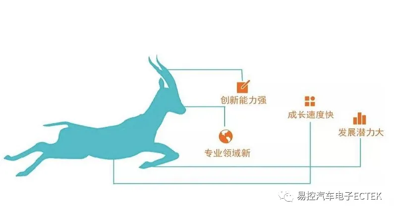 1711347992603531.jpg 8.jpg